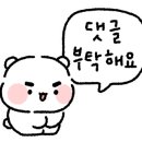 더블와이피