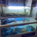 청성수산 | 대방어, 21세기우리바다수산, 겨울 대방어, 홍대맛집, 횟집추천, 홍대횟집, + 청설 영화 후기, 홍대 10원빵
