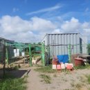 한림세탁소 이미지