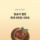 케이뱅크 밤송이 열면 최대 5만원 지급 이미지