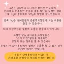 라이프 발란서 이미지