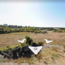 서광리-10 이미지