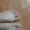 레푸스 앤 두두네일 이미지