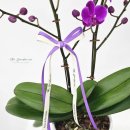 호원행정사사무소 이미지