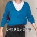 비비드플랜