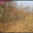 주천면무릉보건진료소 이미지