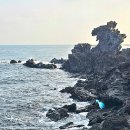 용두암 | 제주공항 근처 필수 방문 코스 용두암 방문 후기, 용머리 기암괴석 용두암 전설