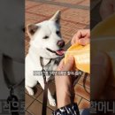 진솔건강원 - 옥천군 지전길 24 | 진솔건강원