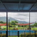 런닝독 | 부산 경남 애견동반펜션 넓은 잔디밭, 수영장까지 있는 하동 런닝독