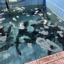 남경미락 이미지