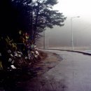 황골해변 이미지