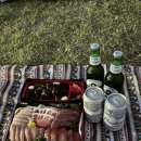 에스카존 | 부산 북항친수공원 야외오페라 카르멘, 피크닉존에서 즐긴 무료 공연 후기