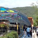 청도레일바이크 이미지