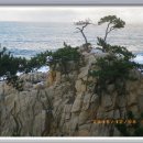 정자항 공원 이미지