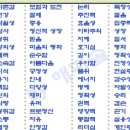 토리 팩토리