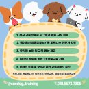 큐독
