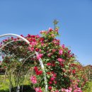 금강수변공원(대평동) 이미지