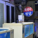 동광로1길 100 | 제주시청 맛집 공항근처 원담횟집 고등어회 원탑 인정한 내돈내산 후기