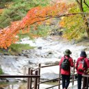 자동우량경보시스템 이미지