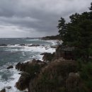 다시 찾은 천학정 &amp; 청간정 이미지