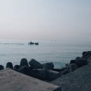 솔향기펜션민박 이미지