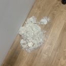 복골온천 애견스파 이미지