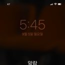 맹그로브신설 이미지
