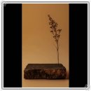 경희새벽한의원 이미지