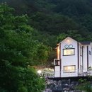 단지골몽상가