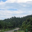 더앤 - 남구 월평로 237 | 더앤