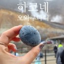 하코네 오와쿠다니 유황달걀 검은계란 + 시내 버스 타고간 후기