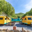 청풍명월 캠핑장 이미지