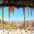 이효석길 이미지