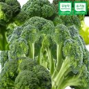 하늘농부유기농영농조합법인 이미지