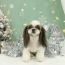 몽개몽개 이미지