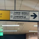놀숲고대