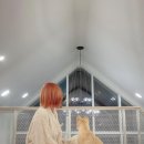 반디빌리지 이미지