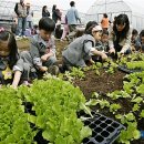 열린농장 이미지