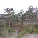 왕산목장 이미지