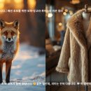 4060세대를 위한 쉬운 블로그 첫걸음 | 🦊 [동물은 패션이 아닙니다.] 패션 초보를 위한 모피·앙고라·푸아그라 쉬운 정리