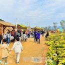 죽림서정이네 투어코리아