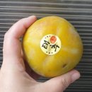 배감 이미지