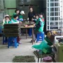 황금뜰 - 안산시 상록구 | 황금뜰