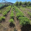 재복농장 이미지