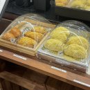 카페윤설