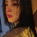 본호프 이미지