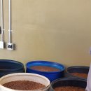 효기농장 이미지