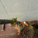 서원동-24 이미지