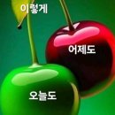 잔세이