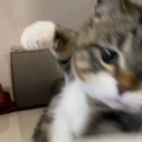 불러라 | 25.06.28-29 달려라석진 다녀왔다. - 2